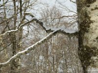 2026-03-21 Monte Ginepro 063